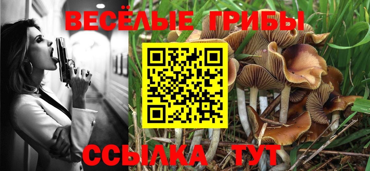 Галлюциногенные грибы GOLDEN TEACHER Нурлат