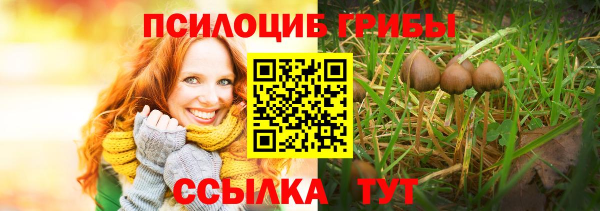 Галлюциногенные грибы мухоморы  Вход с VPN  Нурлат  Псилоцибиновые грибы Psilocybine cubensis 
